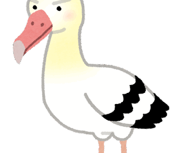 ハリケーンに飛び込む鳥の謎その2